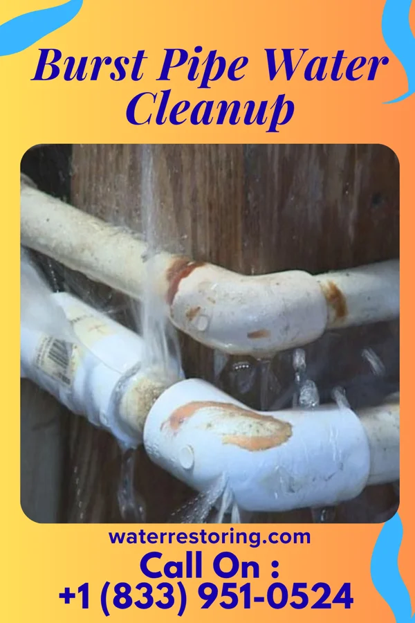 Burst Pipe Water Cleanup in Wooster, OH