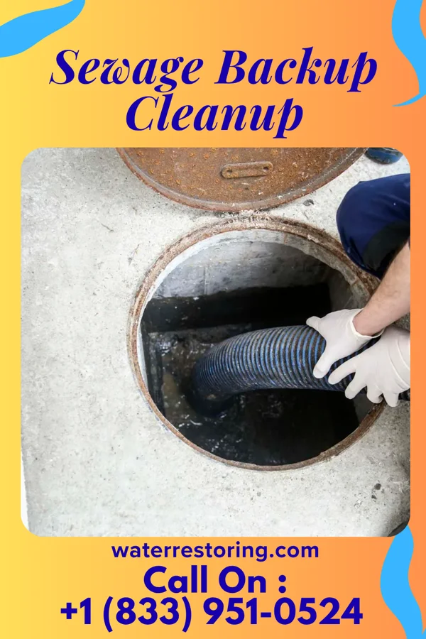 Sewage Backup Cleanup in Wooster, OH